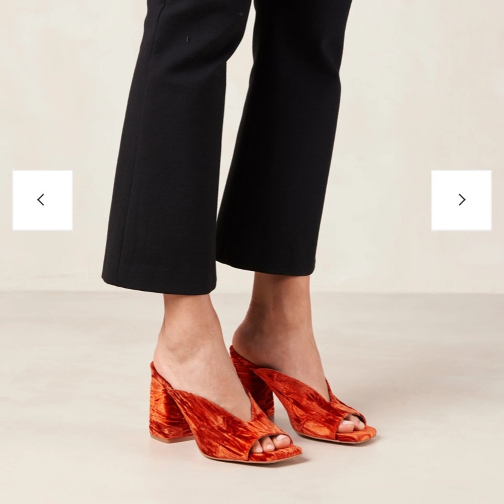 ❗️SOLD ❗️Aloha’s Frenchie Mules — Orange Velvet